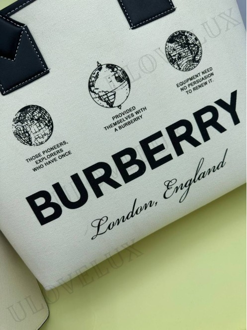 Burberry bag 12