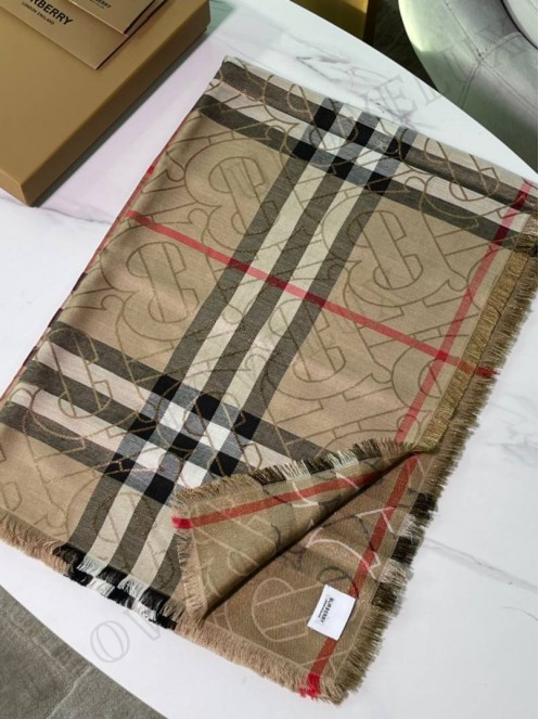 Burberry scarf 2