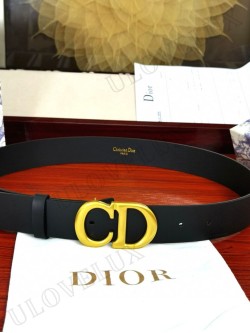 CD belt 9