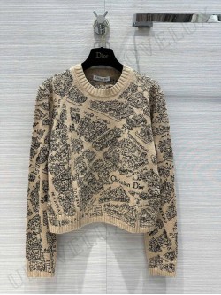 CD sweater 19