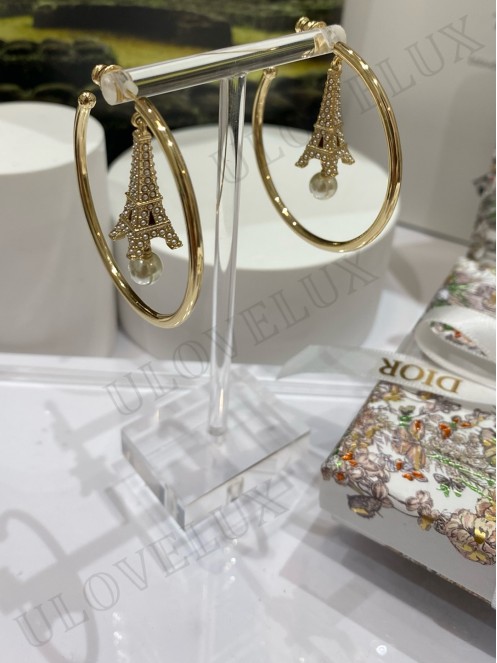 CD earrings 6