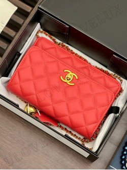 Chanel bag 103