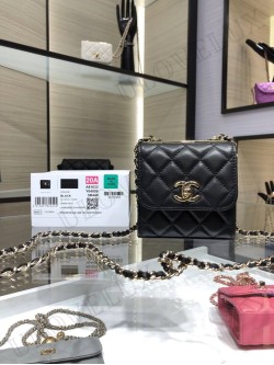 Chanel bag 116