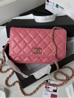 Chanel bag 120