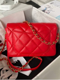 Chanel bag 150