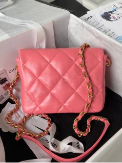 Chanel bag 151