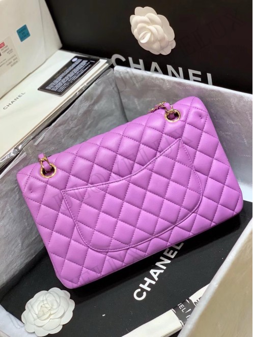 Chanel bag 170