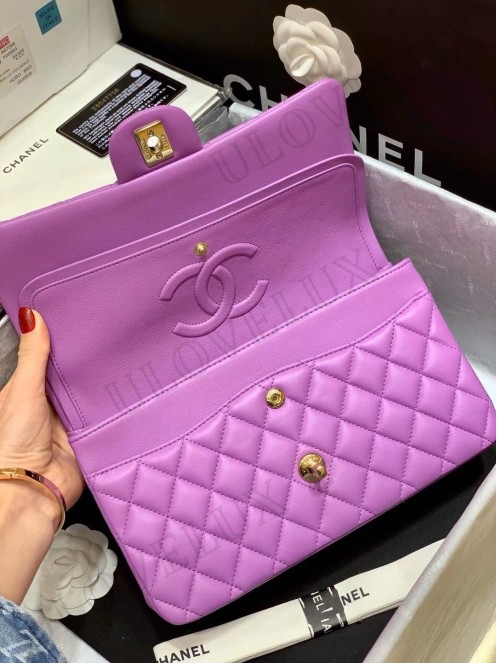 Chanel bag 170