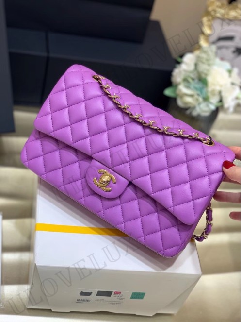 Chanel bag 170