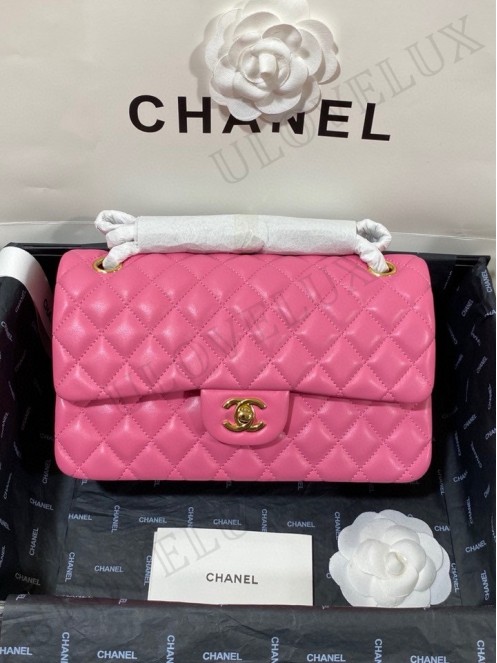 Chanel bag 172