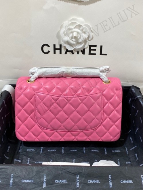 Chanel bag 172