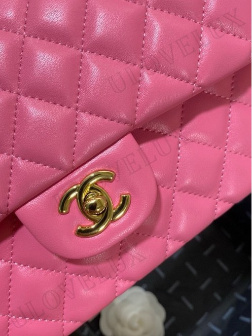 Chanel bag 172