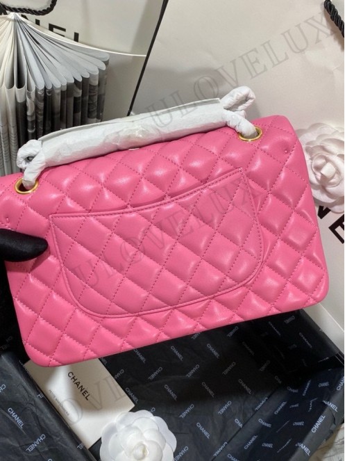 Chanel bag 172