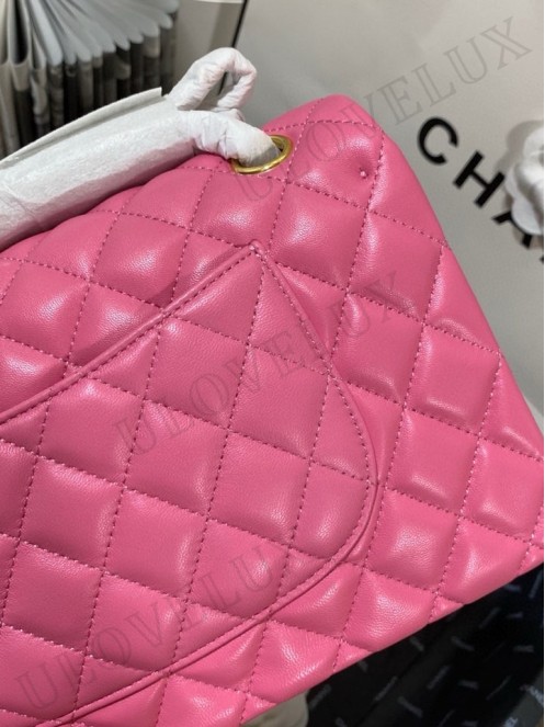 Chanel bag 172