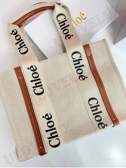 Chloe bag 1