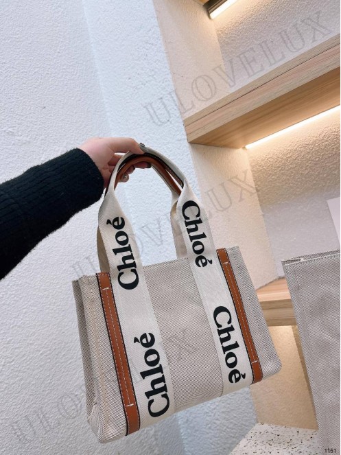 Chloe bag 6