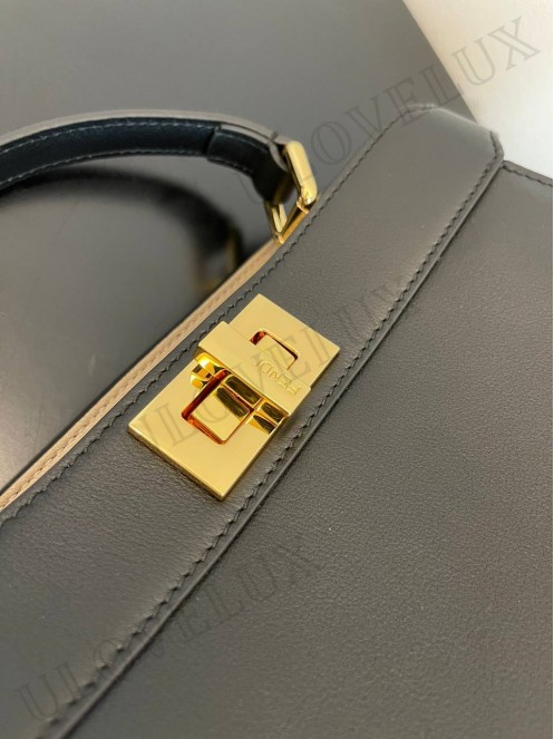 Fendi bag 104