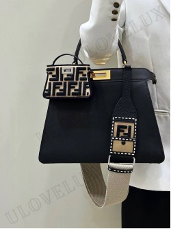 Fendi bag 78