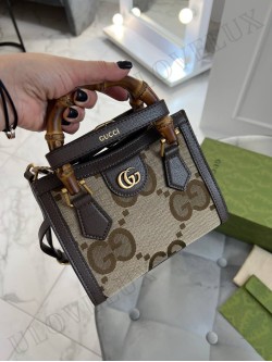 Gucci bag 1