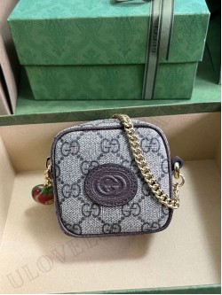 Gucci bag 107