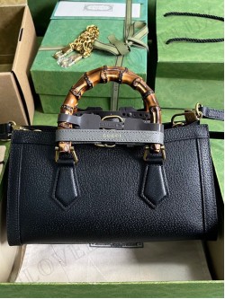 Gucci bag 110