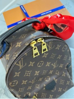 LV  Backpack 2