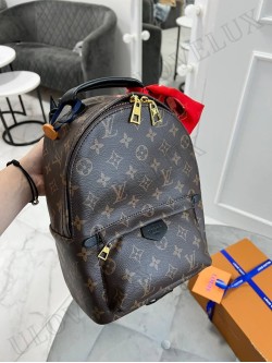 LV  Backpack 2