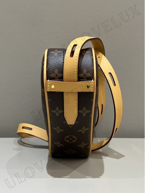 LV bag 348