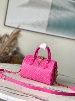 LV bag 254