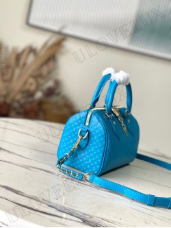 LV bag 255