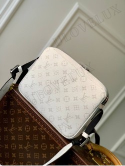 LV bag 283