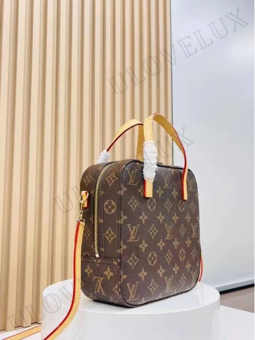 LV bag 335